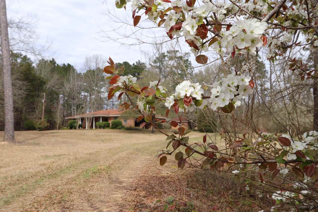22393 Highway 18 Raleigh, MS 39153 - Photo 3 of 19 Photo 3