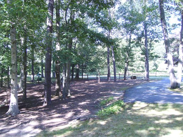 288 Mill Road Fairhaven, MA 02719 - Photo 6 of 22 a view of outdoor space with trees