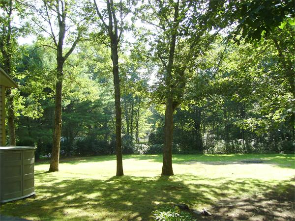 288 Mill Road Fairhaven, MA 02719 - Photo 8 of 22 a view of a yard with a tree