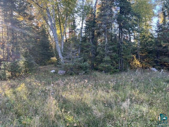Tbd Lost Lake Road Tower, MN 55790 - Photo 7 of 13 Gallery Image 7