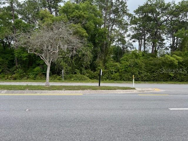 a view of a road with a yard and trees
