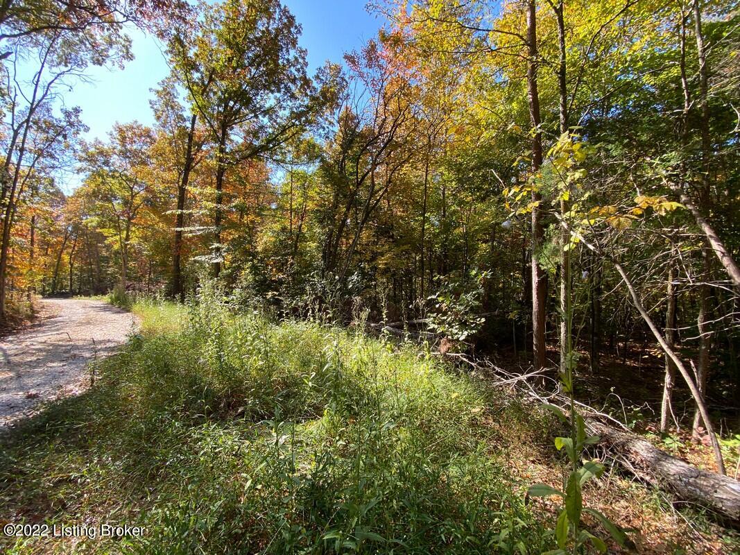 L10 Ted Logsdon Road Clarkson, KY 42726 - Photo 12 of 13 River View 1013222111