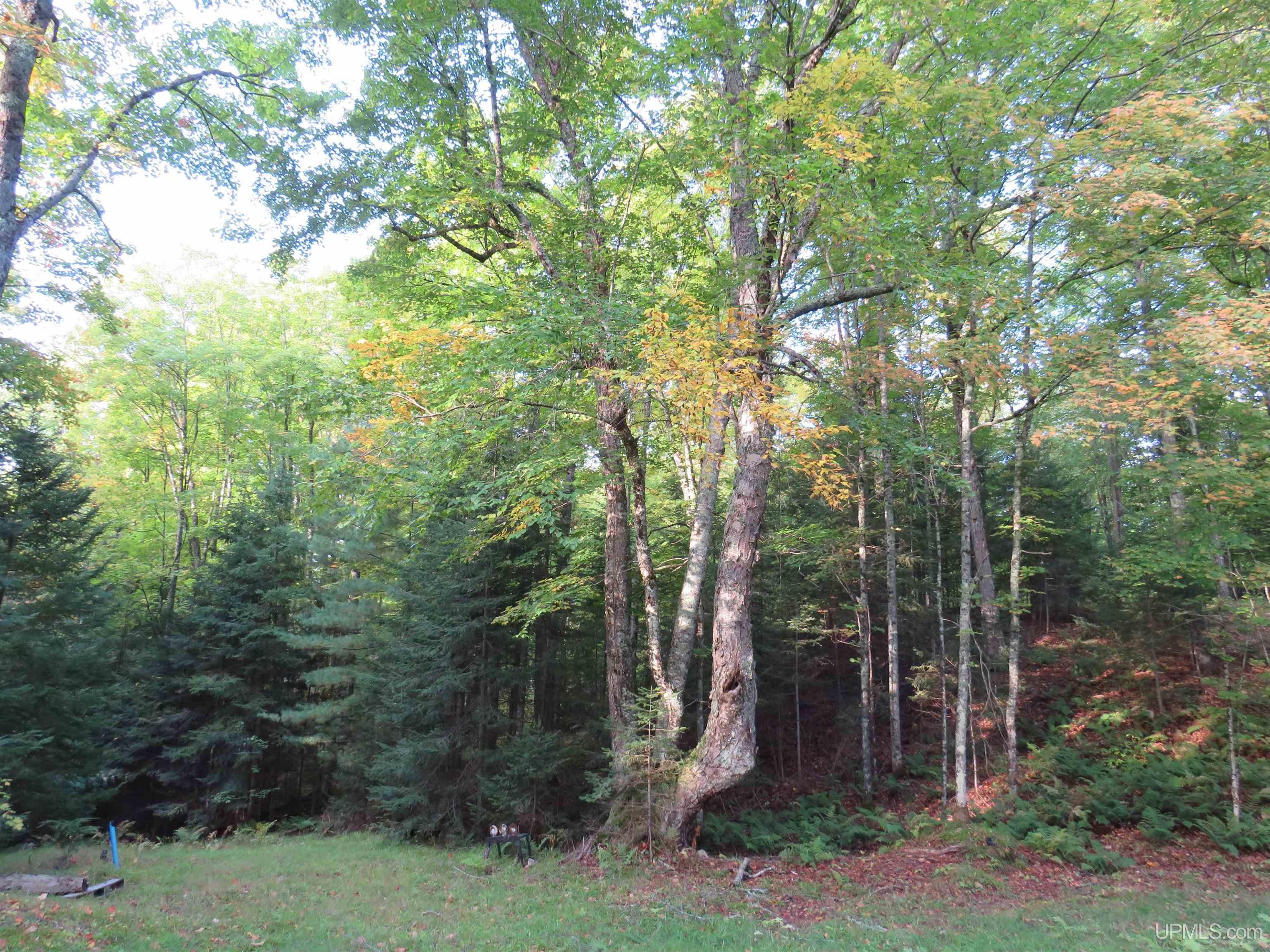 2774 Chief Lake Road Republic, MI 49879 - Photo 8 of 20 Gallery Image 8