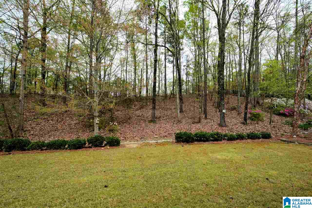 461 North Lake Road Birmingham, AL 35242 - Photo 26 of 32