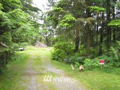 6431 Little Big Horn Road Maple Falls, WA 98266 - Photo 1 of 1 Gallery Image 1