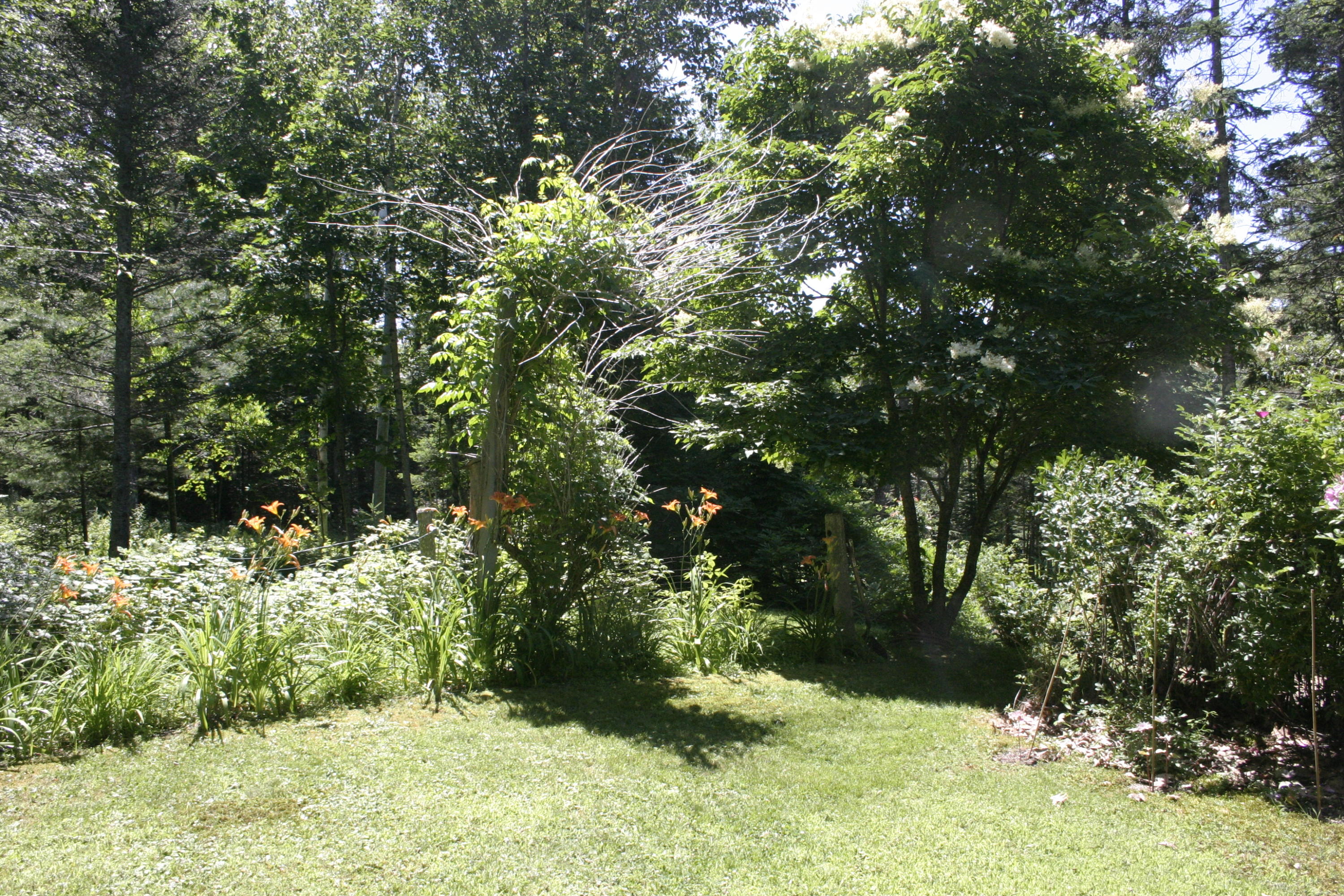 36 Granite Hill Road Pemaquid, ME 04558 - Photo 121 of 134 IMG_0470