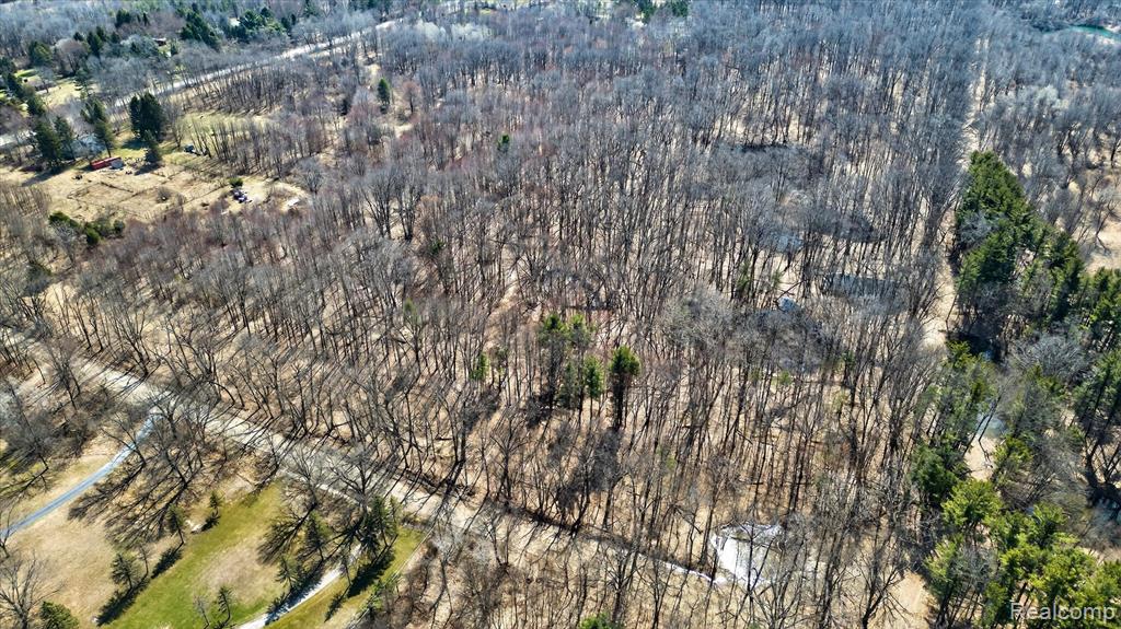 Parcel B1 Foley Road Fenton, MI 48430 - Photo 19 of 22