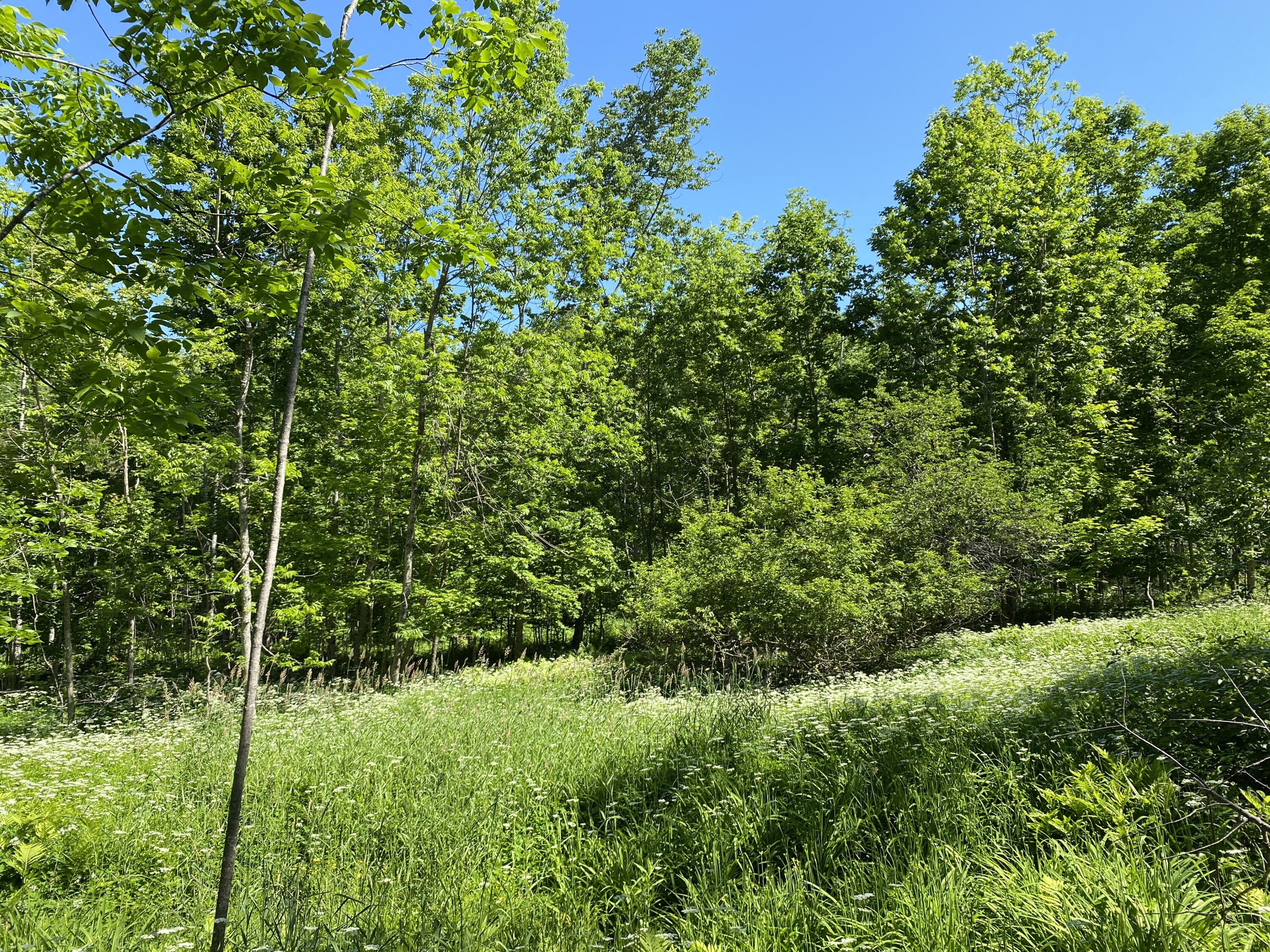 Lot #5 Messer Road Moscow, ME 04920 - Photo 9 of 11 IMG_1441