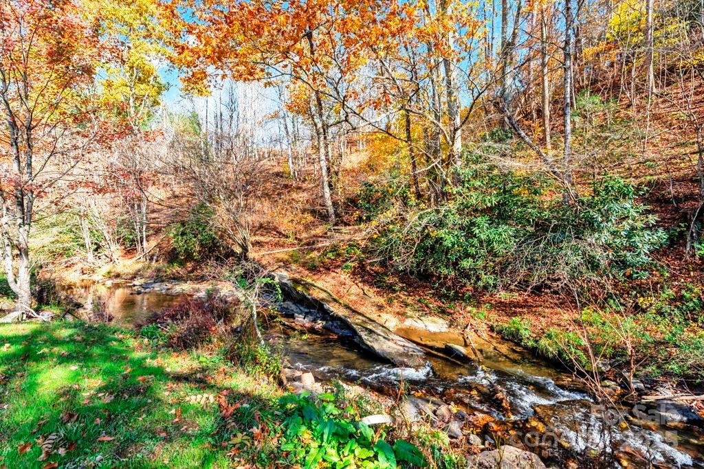 Tbd East Little Horse Creek Road Lansing, NC 28643 - Photo 13 of 23 a view of tree