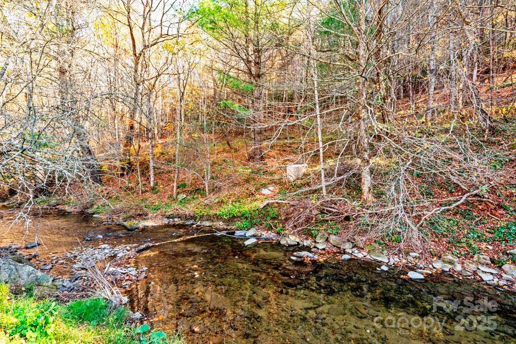 Tbd East Little Horse Creek Road Lansing, NC 28643 - Photo 17 of 23 a backyard of a building