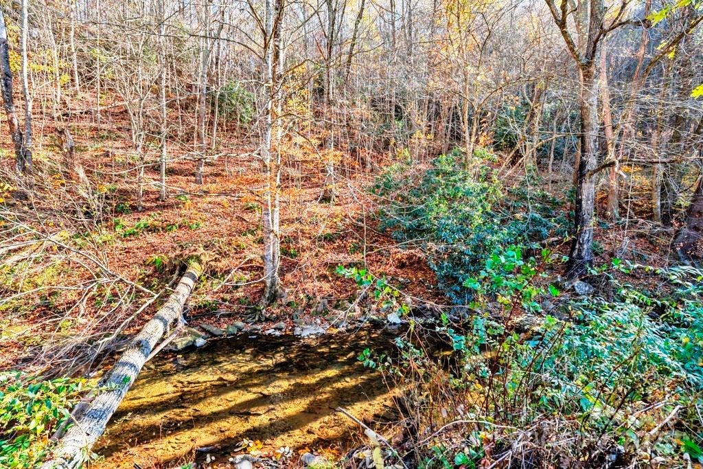 Tbd East Little Horse Creek Road Lansing, NC 28643 - Photo 19 of 23 a view of a yard with a tree