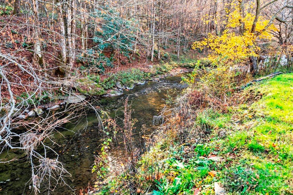 Tbd East Little Horse Creek Road Lansing, NC 28643 - Photo 20 of 23 a picture of tree