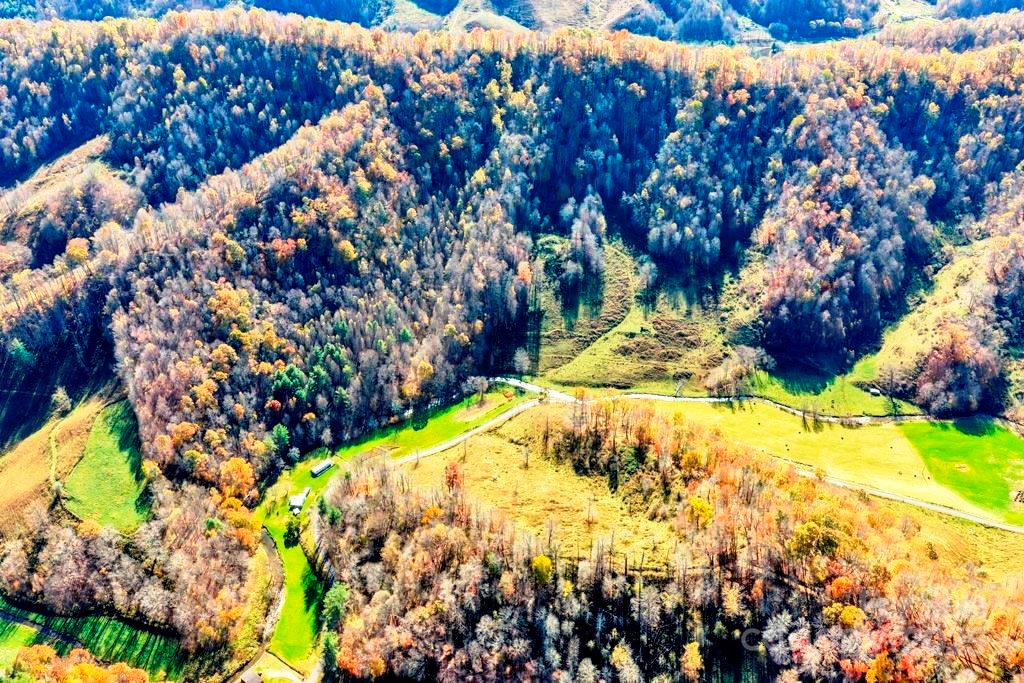 Tbd East Little Horse Creek Road Lansing, NC 28643 - Photo 3 of 23