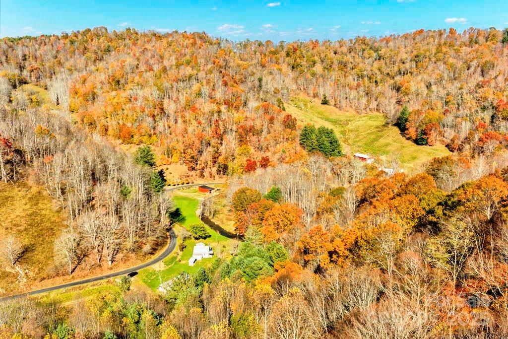 Tbd East Little Horse Creek Road Lansing, NC 28643 - Photo 10 of 23 a view of a yard