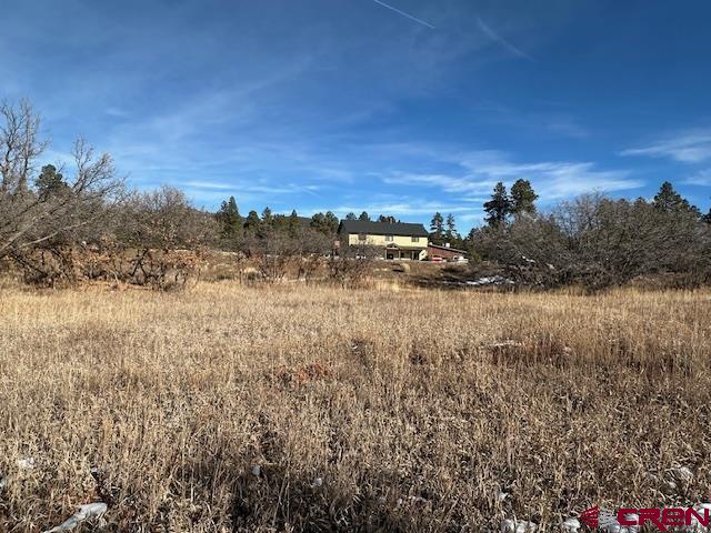 671 Edgemont Meadows Road Durango, CO 81301 - Photo 13 of 15 a view of a yard and mountain