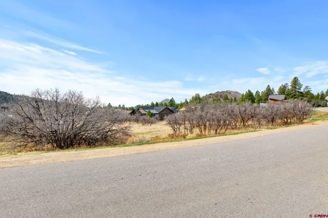 a view of a yard with wooden fence