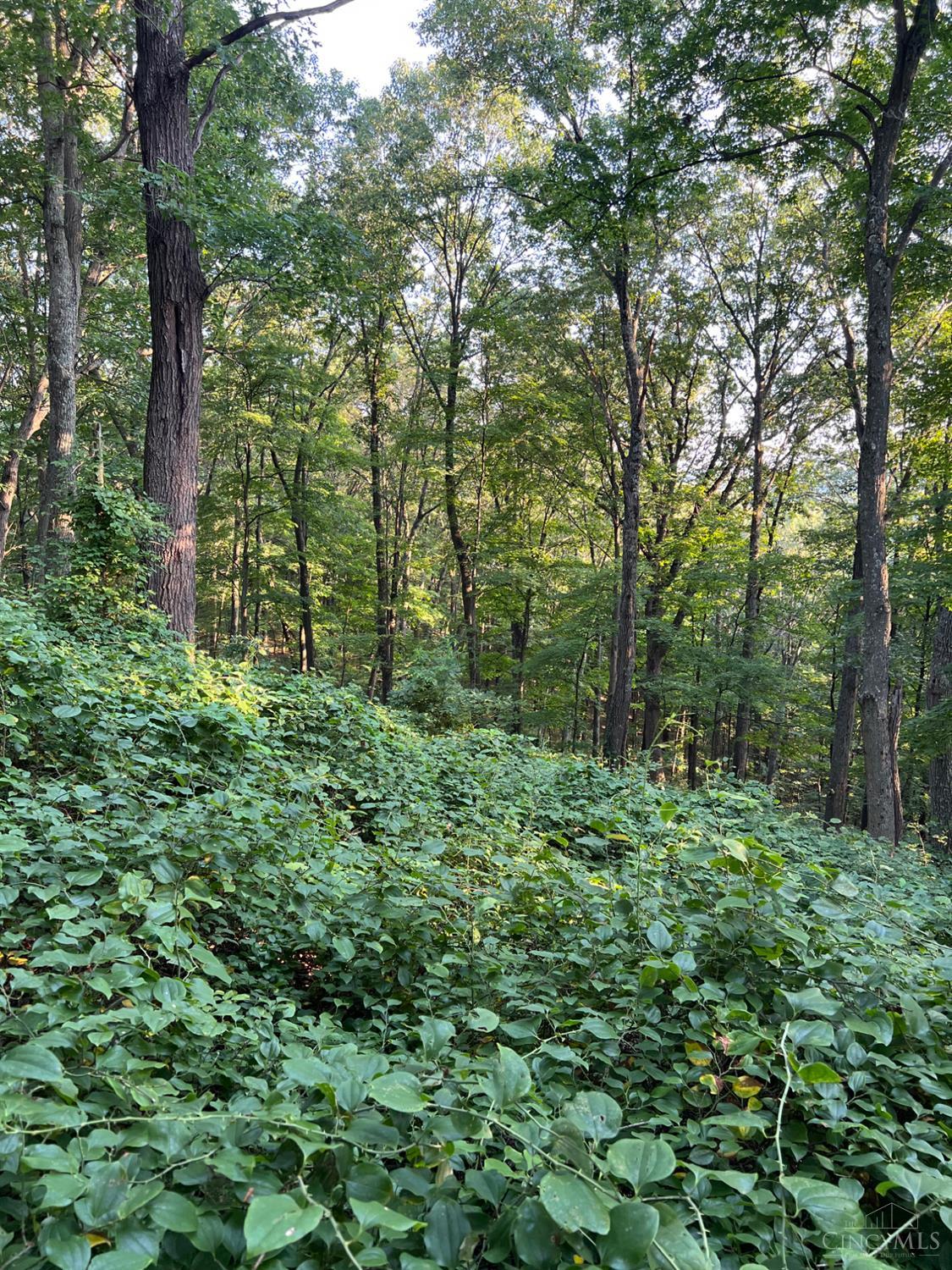 0 Tabernacle Road Chillicothe, OH 45601 - Photo 54 of 64