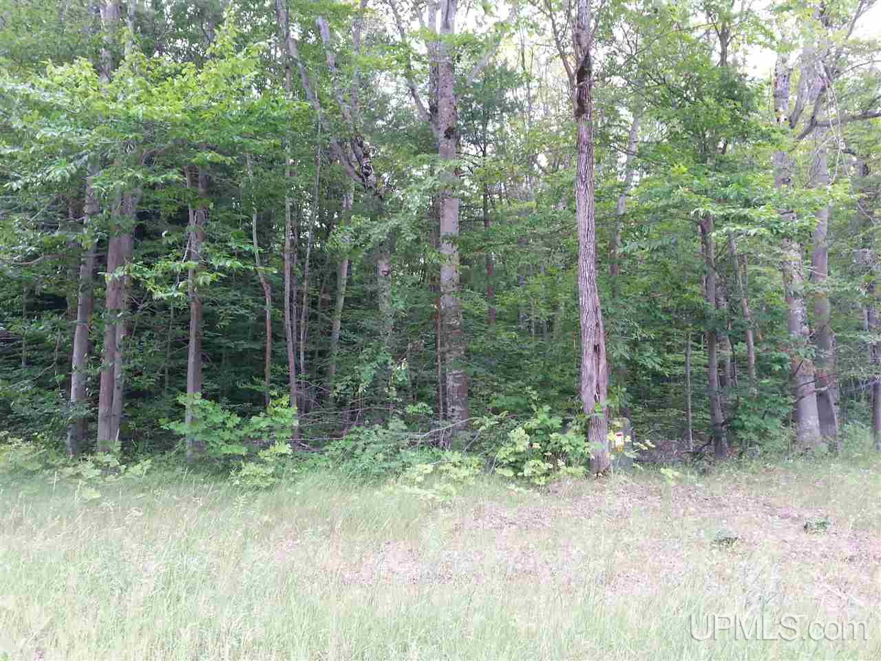 16 Mile Lake Road Munising, MI 49862 - Photo 3 of 16