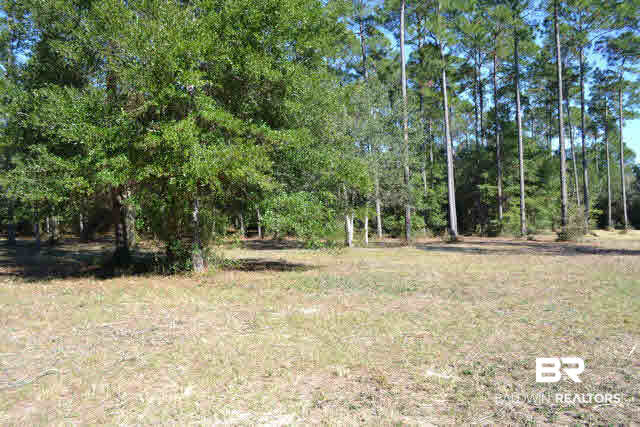 29409 Archie Road Elberta, AL 36530 - Photo 4 of 20 North parcel wooded