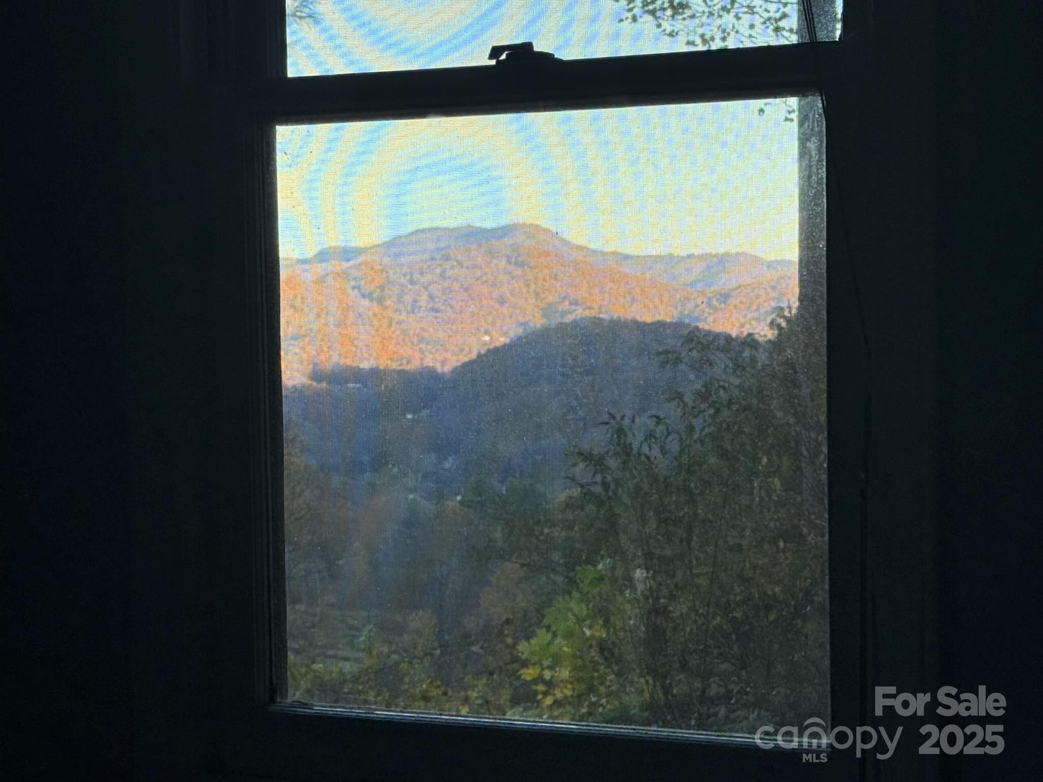 318 Grapevine Cove Road Waynesville, NC 28785 - Photo 16 of 41