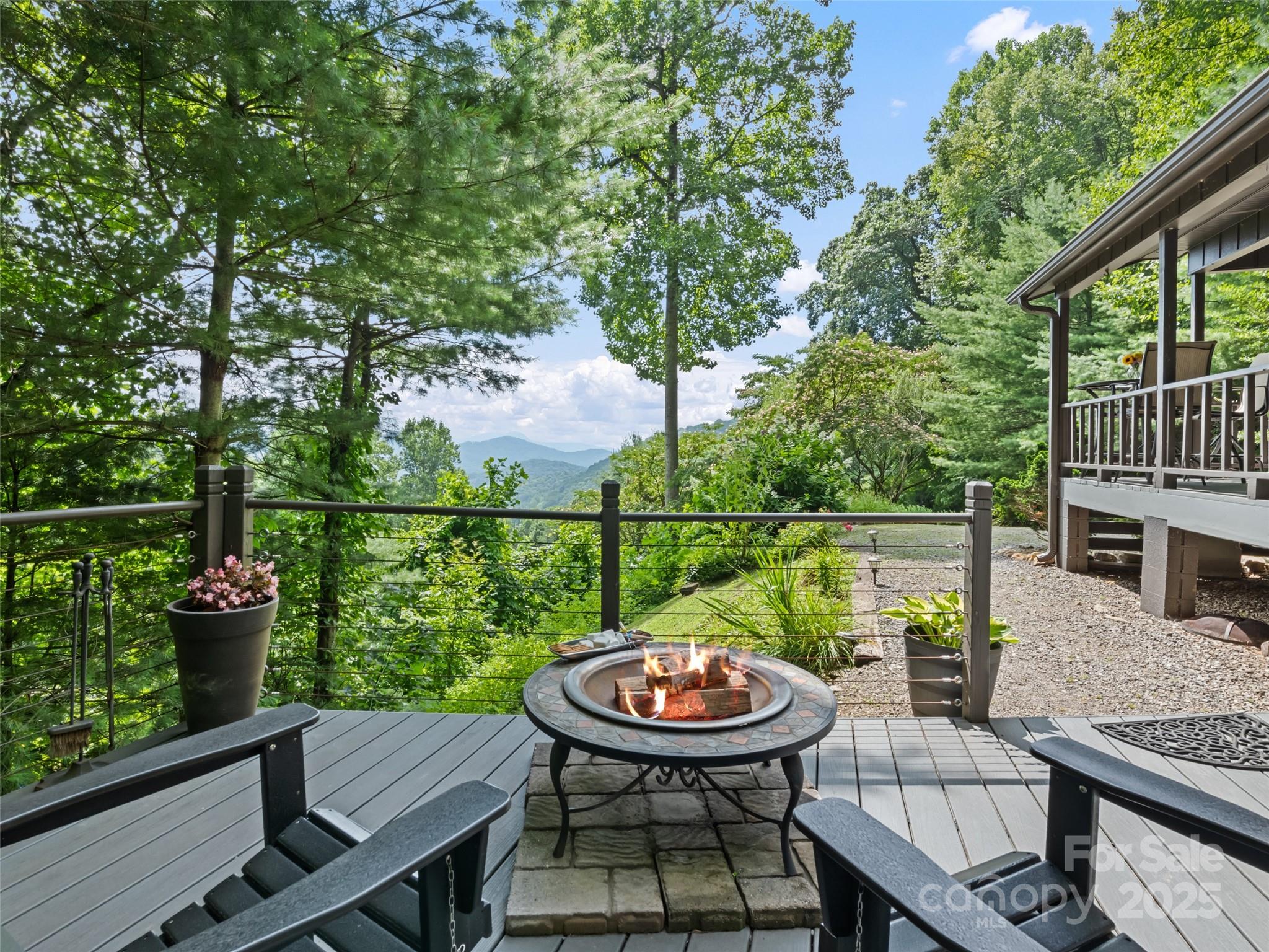 318 Grapevine Cove Road Waynesville, NC 28785 - Photo 2 of 41