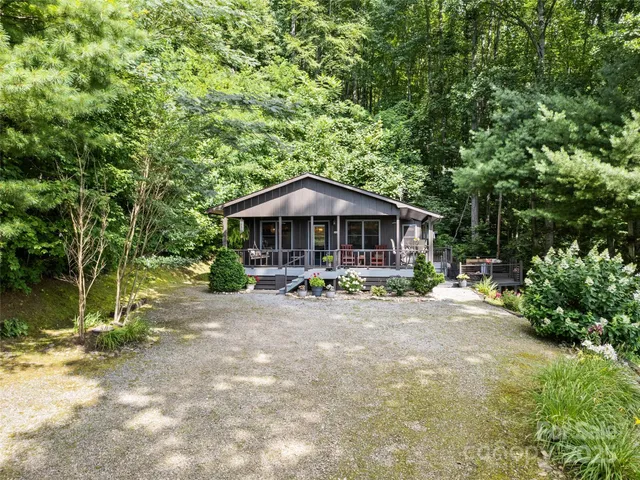 a view of a bunch of trees in a field
