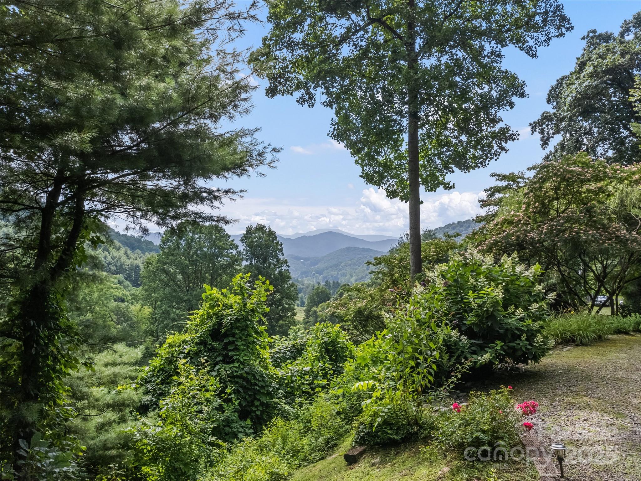 318 Grapevine Cove Road Waynesville, NC 28785 - Photo 25 of 41