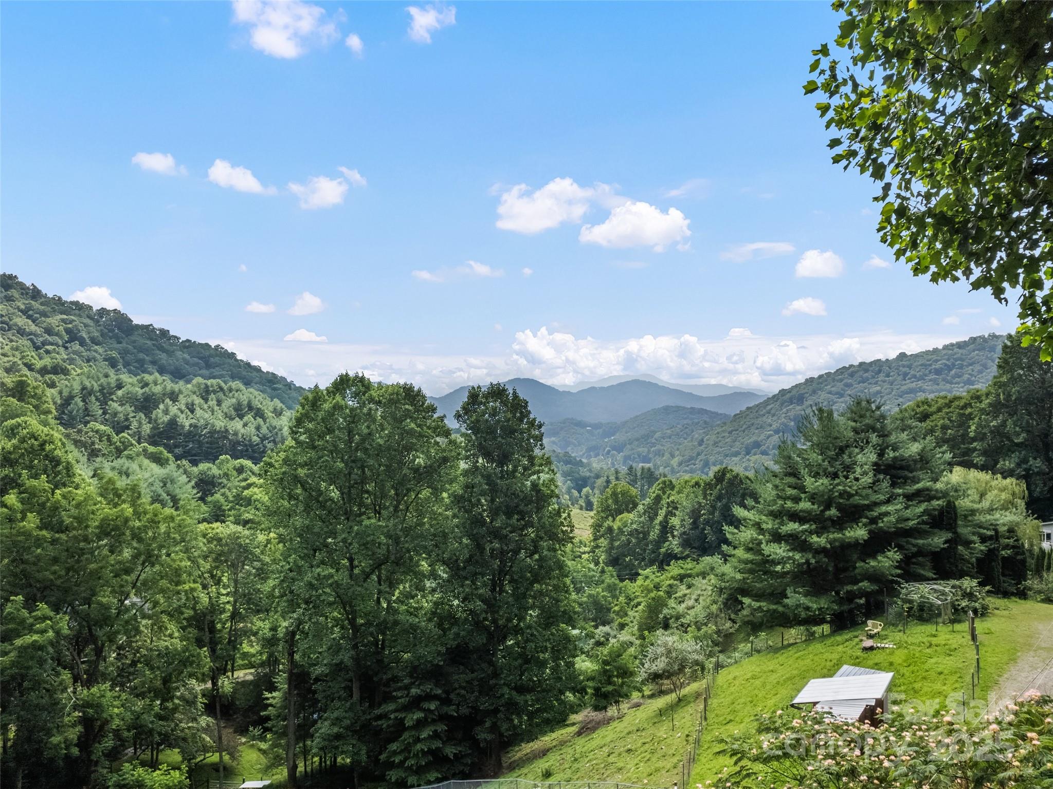 318 Grapevine Cove Road Waynesville, NC 28785 - Photo 26 of 41