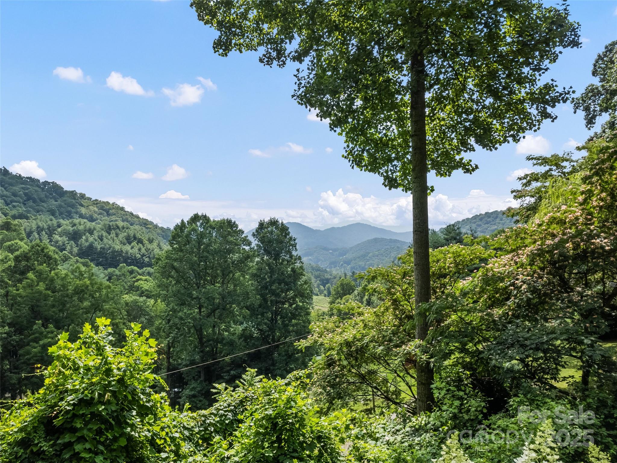318 Grapevine Cove Road Waynesville, NC 28785 - Photo 3 of 41