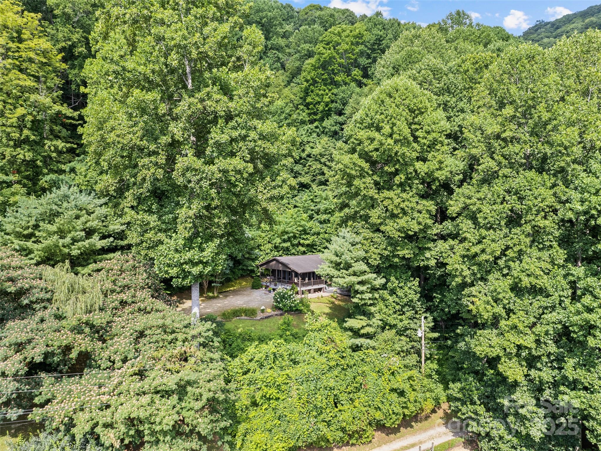 318 Grapevine Cove Road Waynesville, NC 28785 - Photo 32 of 41