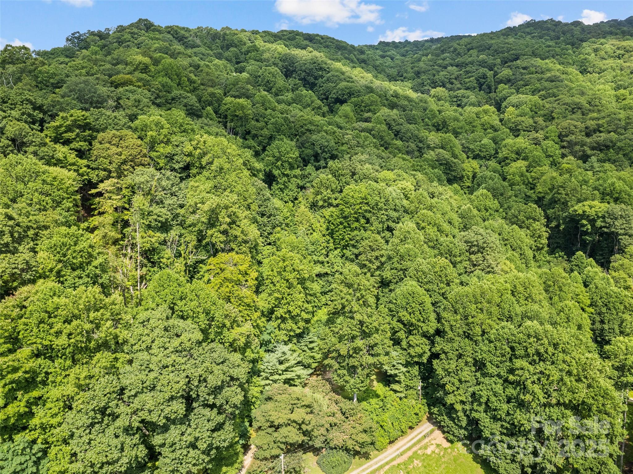 318 Grapevine Cove Road Waynesville, NC 28785 - Photo 40 of 41