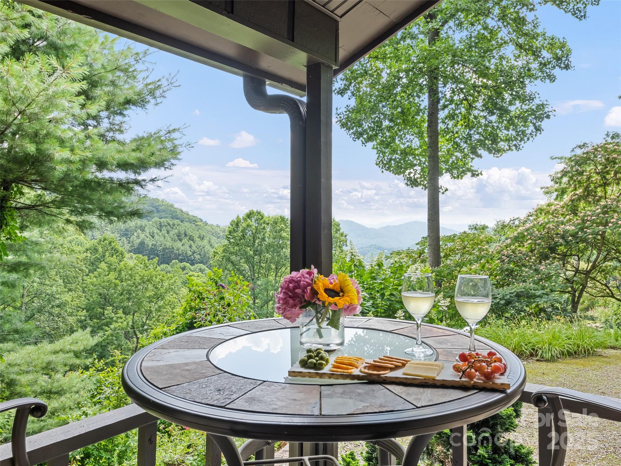 318 Grapevine Cove Road Waynesville, NC 28785 - Photo 7 of 41