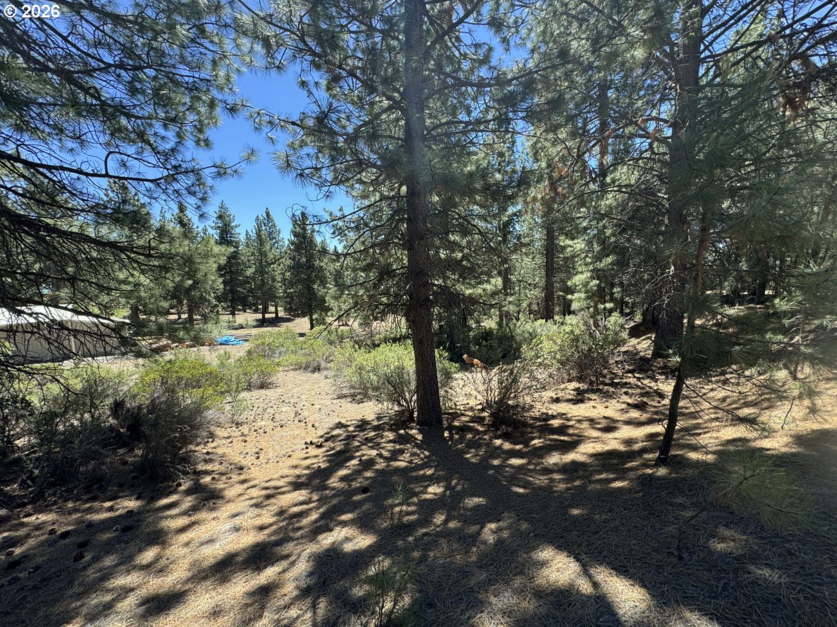 Friendship Drive, Unit 12 Chiloquin, OR 97624 - Photo 17 of 28