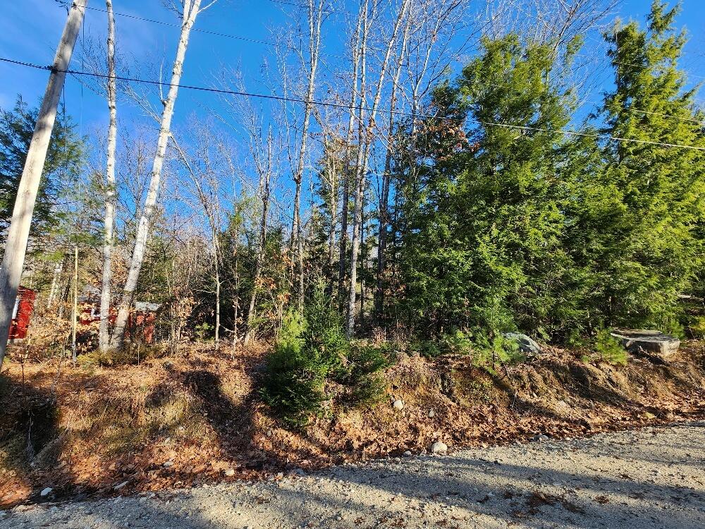 4 Tower Road Peru, ME 04290 - Photo 14 of 16 14 Lot