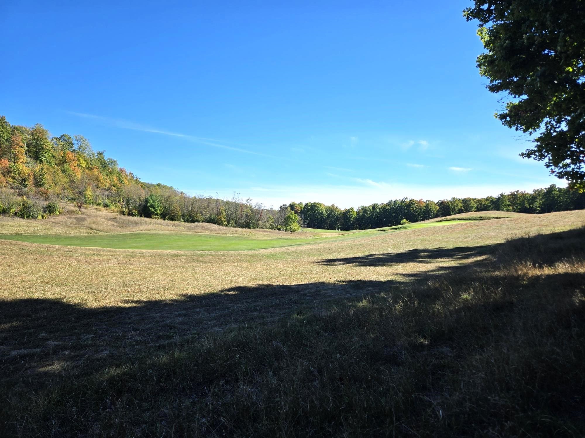 20 Heather Ridge Trail Beulah, MI 49617 - Photo 8 of 11