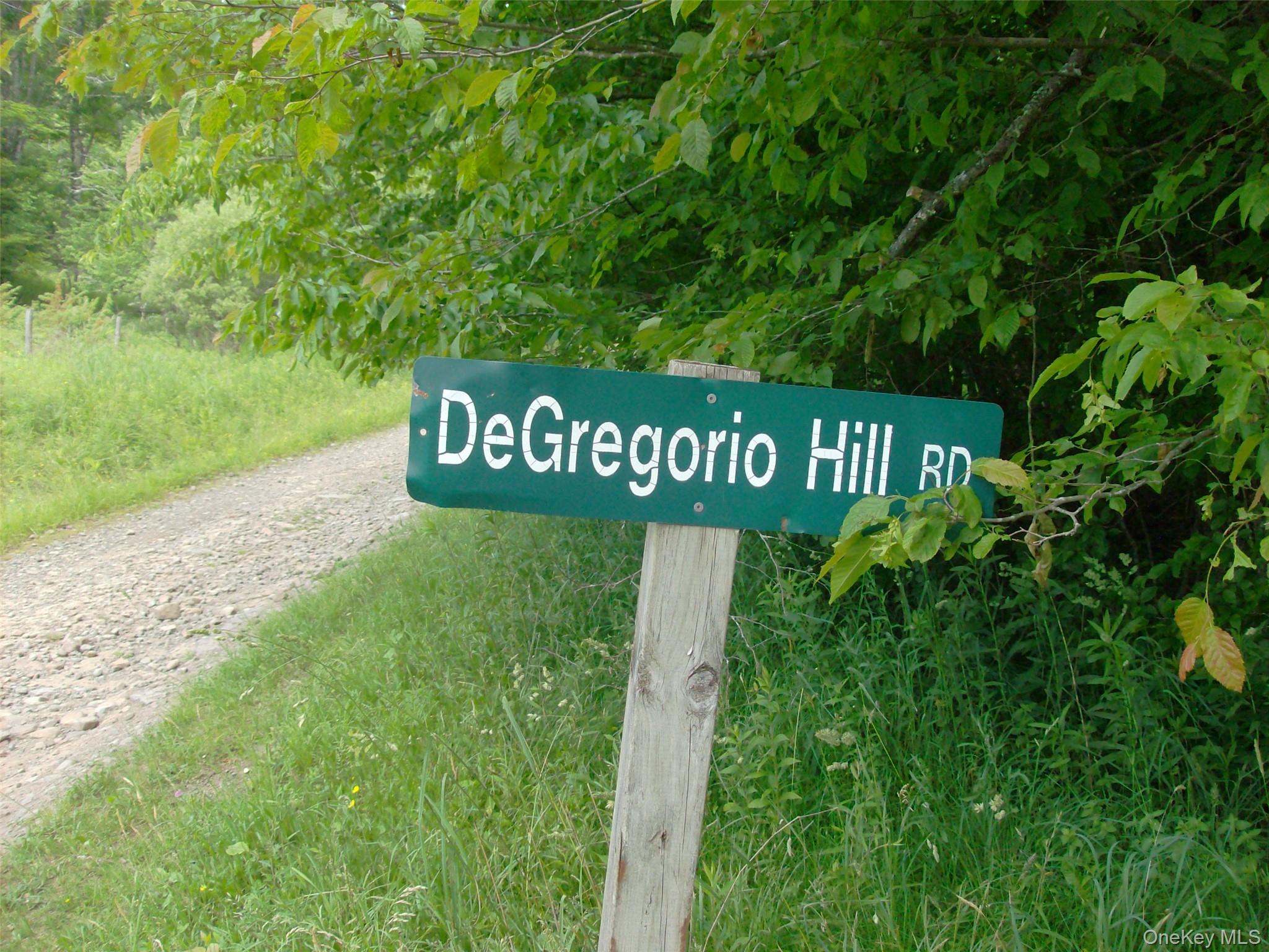 70 Bonnie Brook Road Roscoe, NY 12776 - Photo 33 of 33
