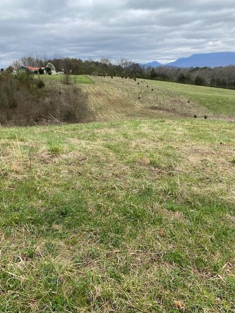 5 Farm Road Newport, TN 37821 - Photo 7 of 15