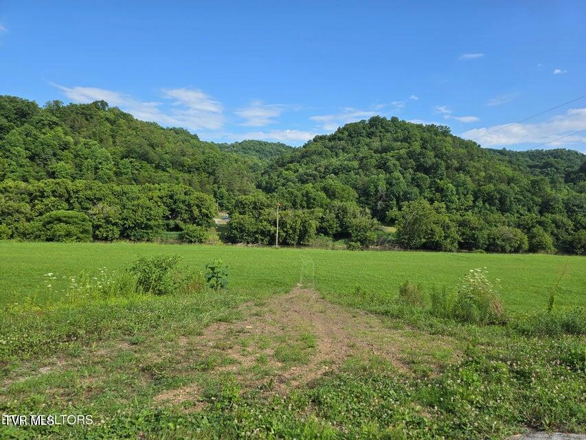 7-8 Caney Valley Road Sneedville, TN 37869 - Photo 21 of 30 21