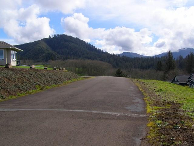 Lot 28 Skyview Road Tillamook, OR 97141 - Photo 14 of 15 P3180381.JPG