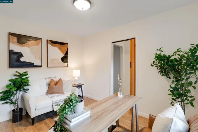 a living room with furniture and a potted plant
