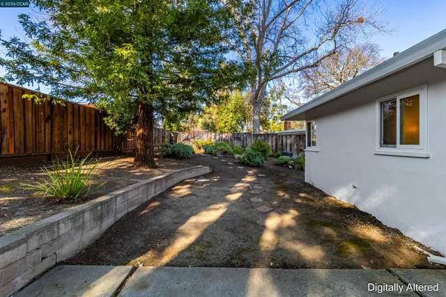 a view of a backyard with plants and large trees