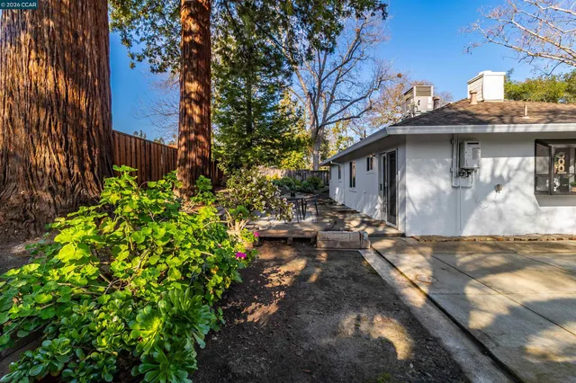 a view of a backyard house with potted plants and large trees