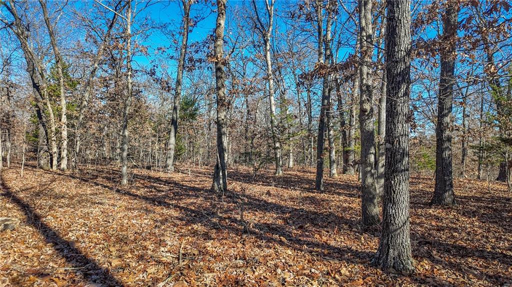 0 Southeast 1151st Road Collins, MO 64738 - Photo 12 of 62