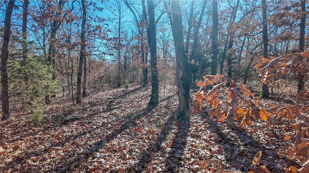 0 Southeast 1151st Road Collins, MO 64738 - Photo 13 of 62