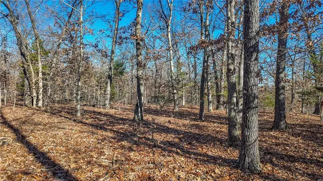 $486,500 | 0 Southeast 1151st Road, Collins, MO 64738