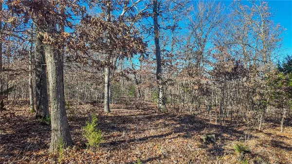 $486,500 | 0 Southeast 1151st Road, Collins, MO 64738