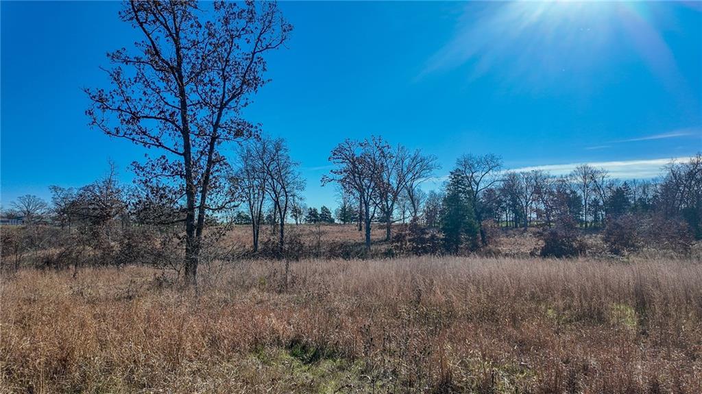 0 Southeast 1151st Road Collins, MO 64738 - Photo 18 of 62