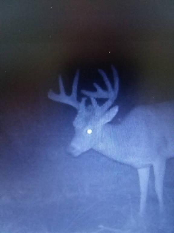 0 Southeast 1151st Road Collins, MO 64738 - Photo 20 of 62