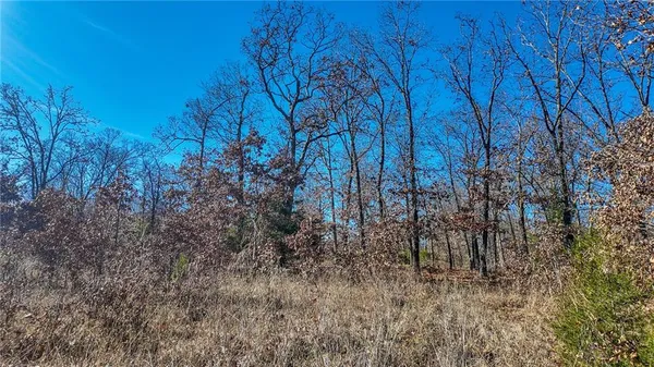 $486,500 | 0 Southeast 1151st Road, Collins, MO 64738