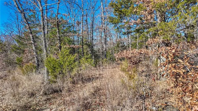 $499,900 | 0 Southeast 1151st Road, Collins, MO 64738